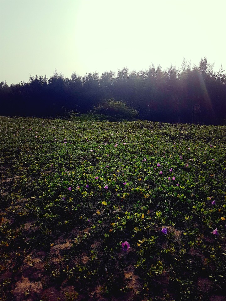 Love nature,Love yourself.,Because U r part of the Nature