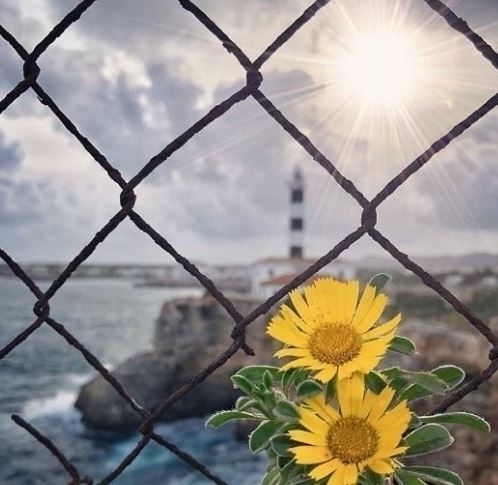 Kim Spring's story♡ sea_story