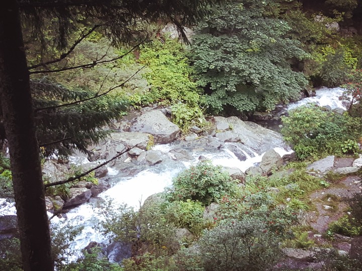 Nature