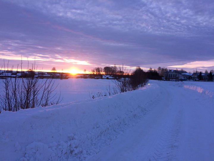 Winter