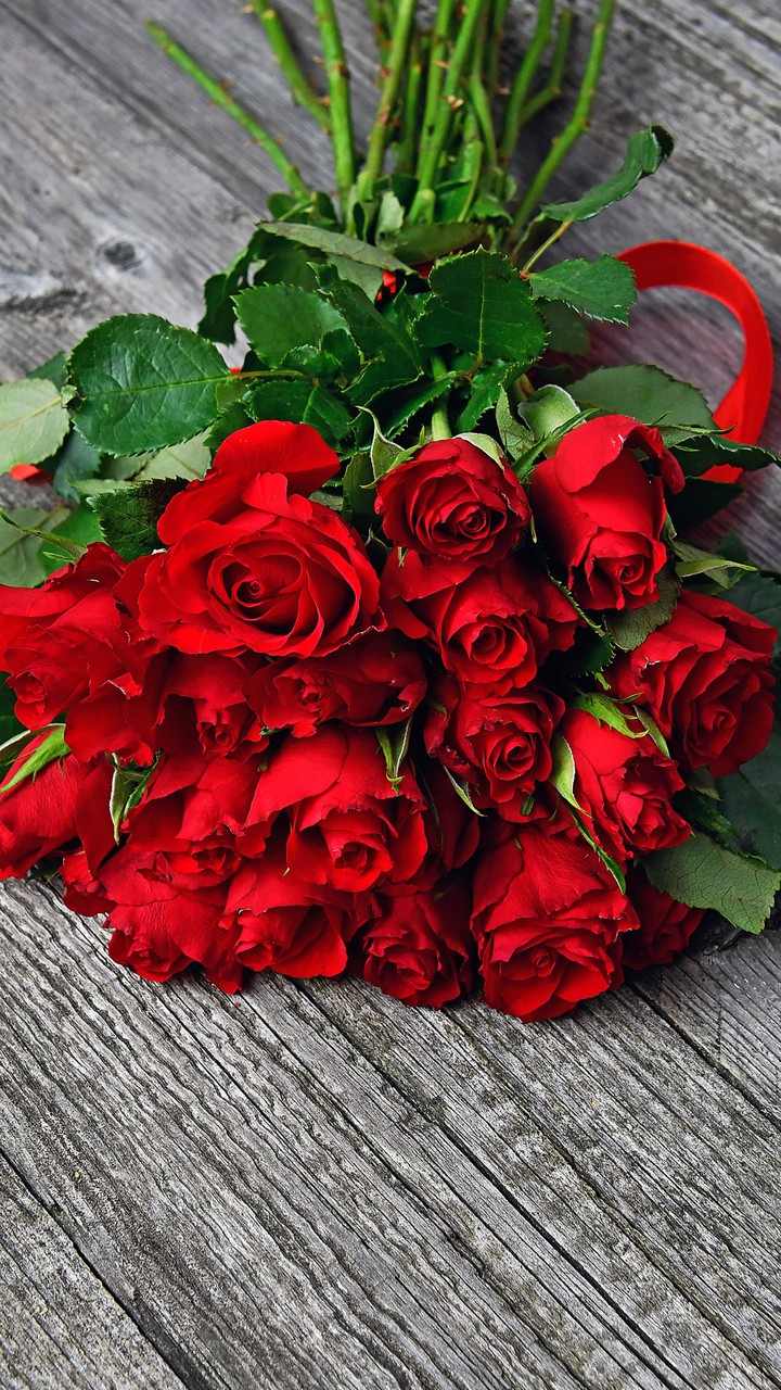 ❤️❤️❤️