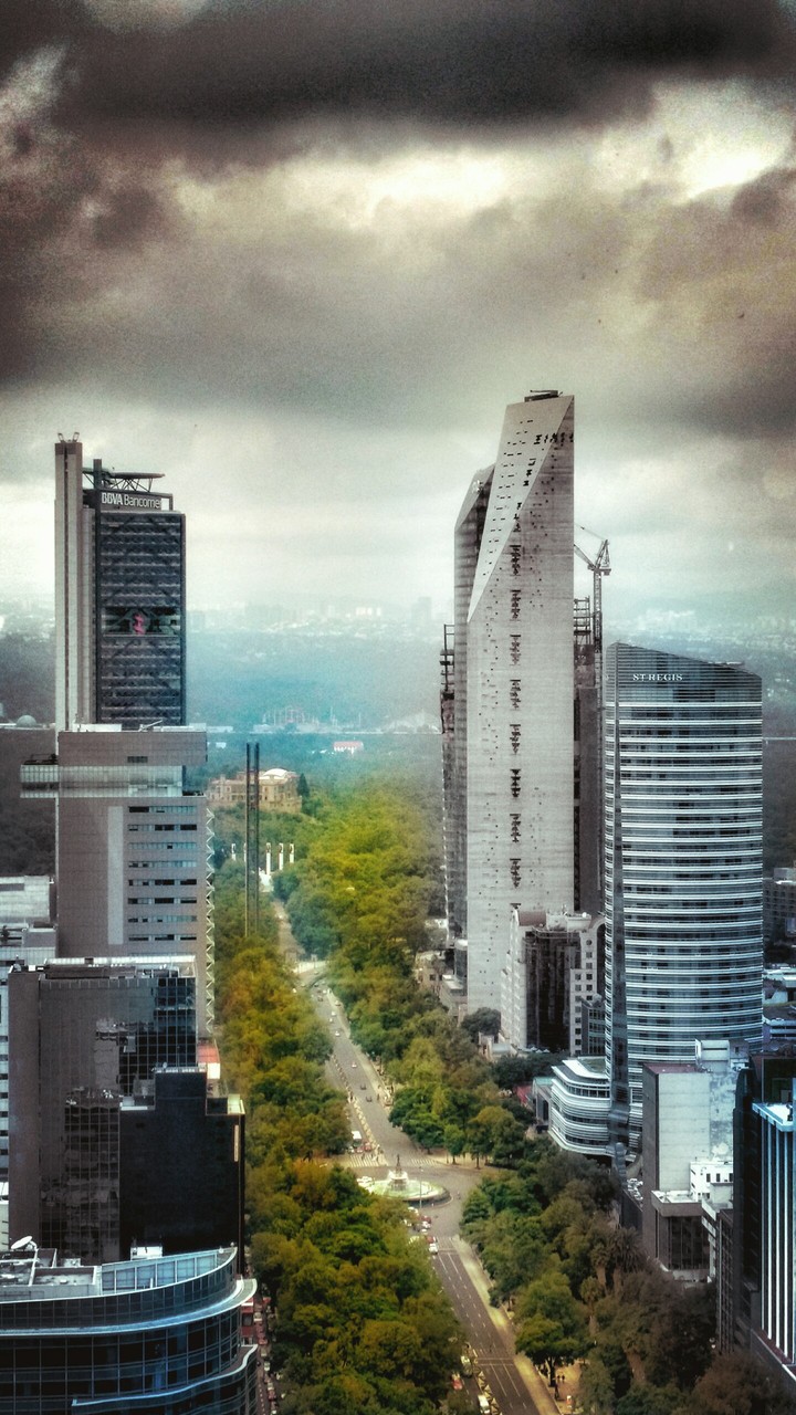 Reforma MX