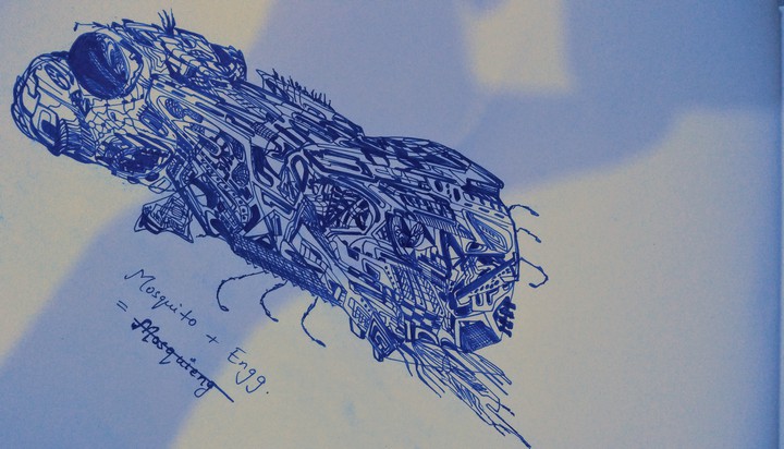 Fly(detaildrawing)! artist - Akshay Singh(me)!!
