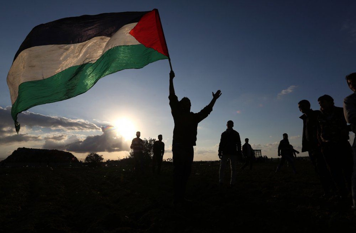 free palestine