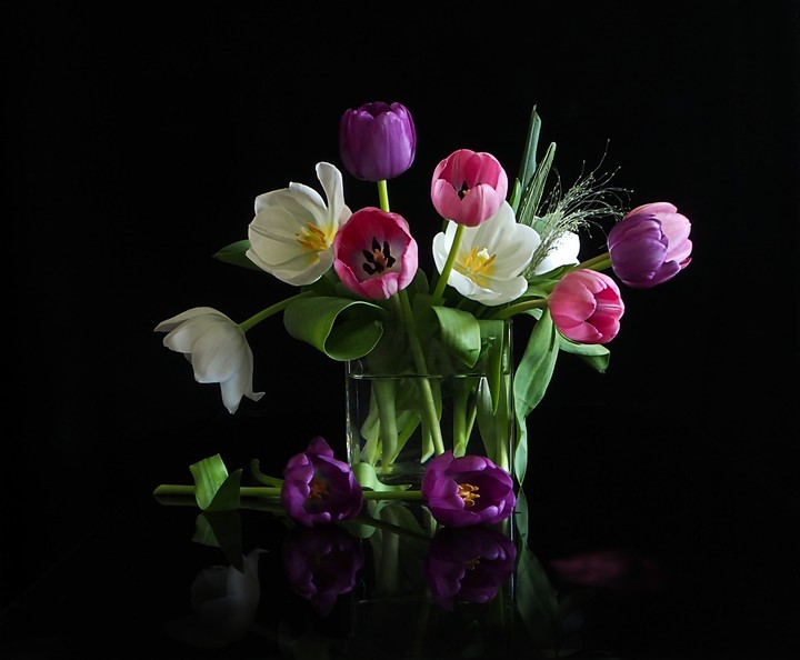 tulips