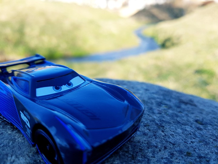 Toy meets nature