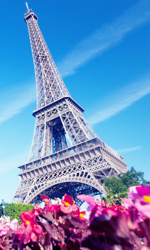 my love pariz❤