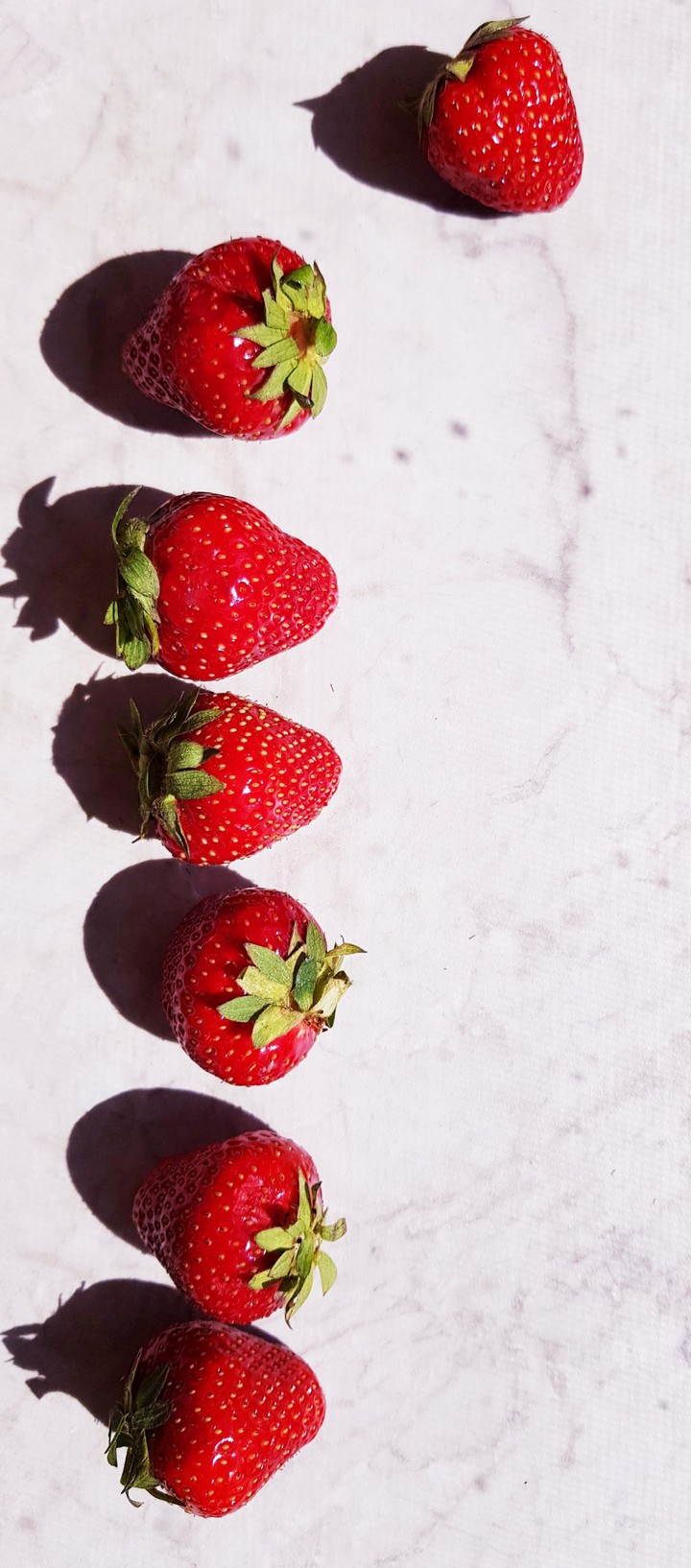strawberry red berries