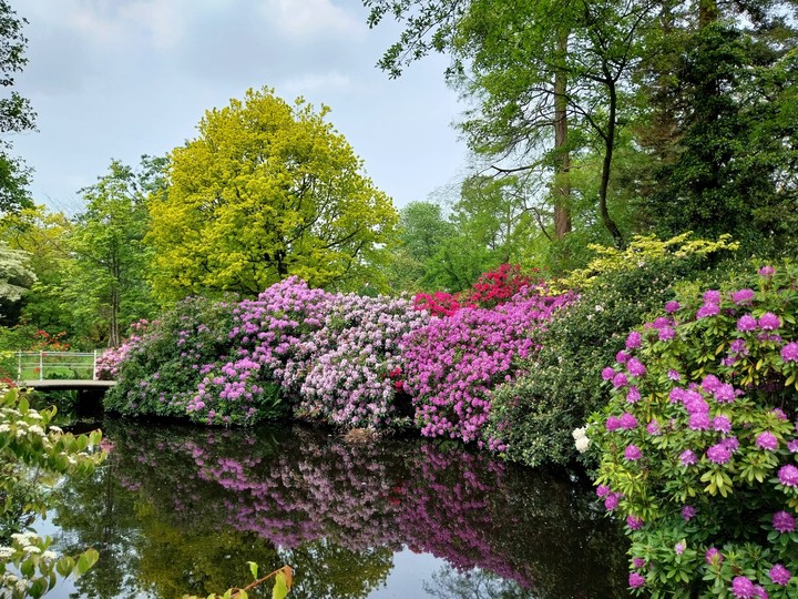 in een prachtig mooie tuin