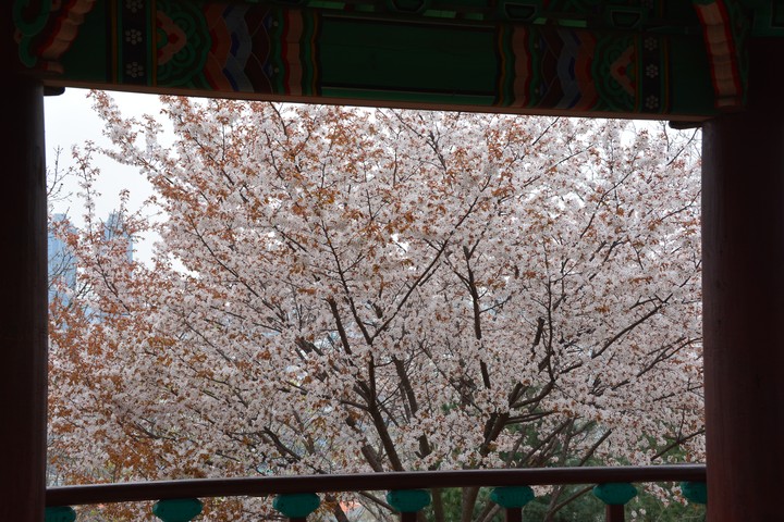 풍경이미지
