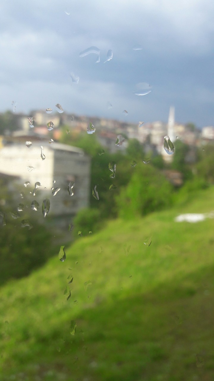 spring