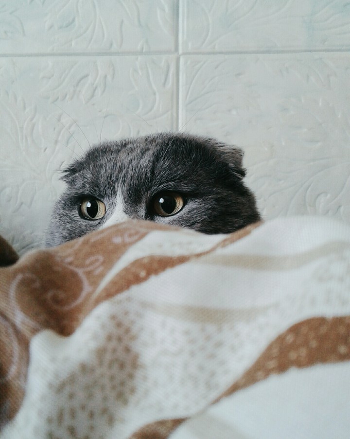 ?
