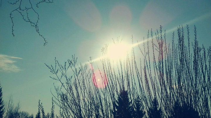 Sun light