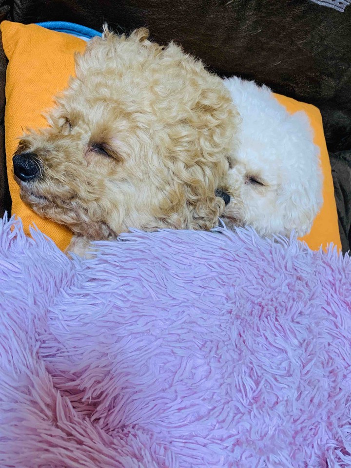 sleep