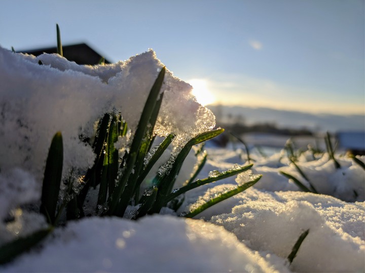 Spring