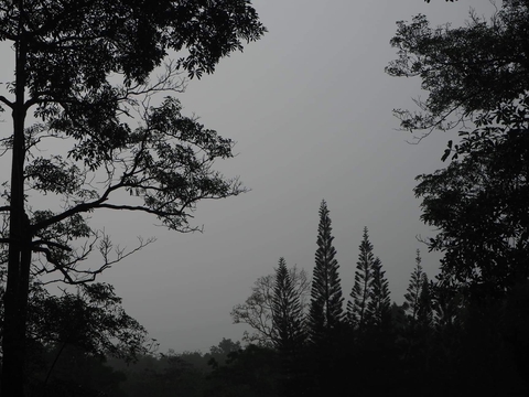 It will rain