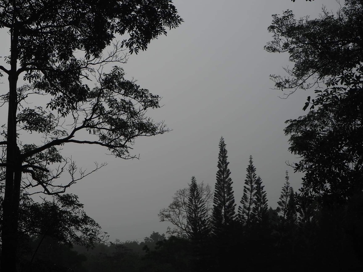It will rain