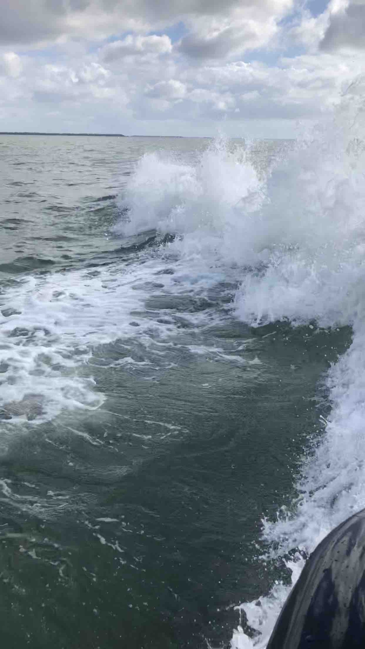 waves