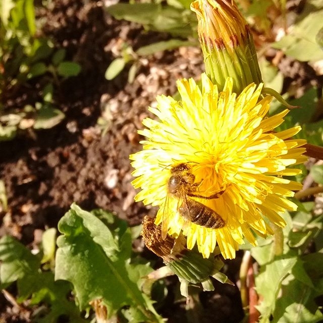 #Україна #природа #краса