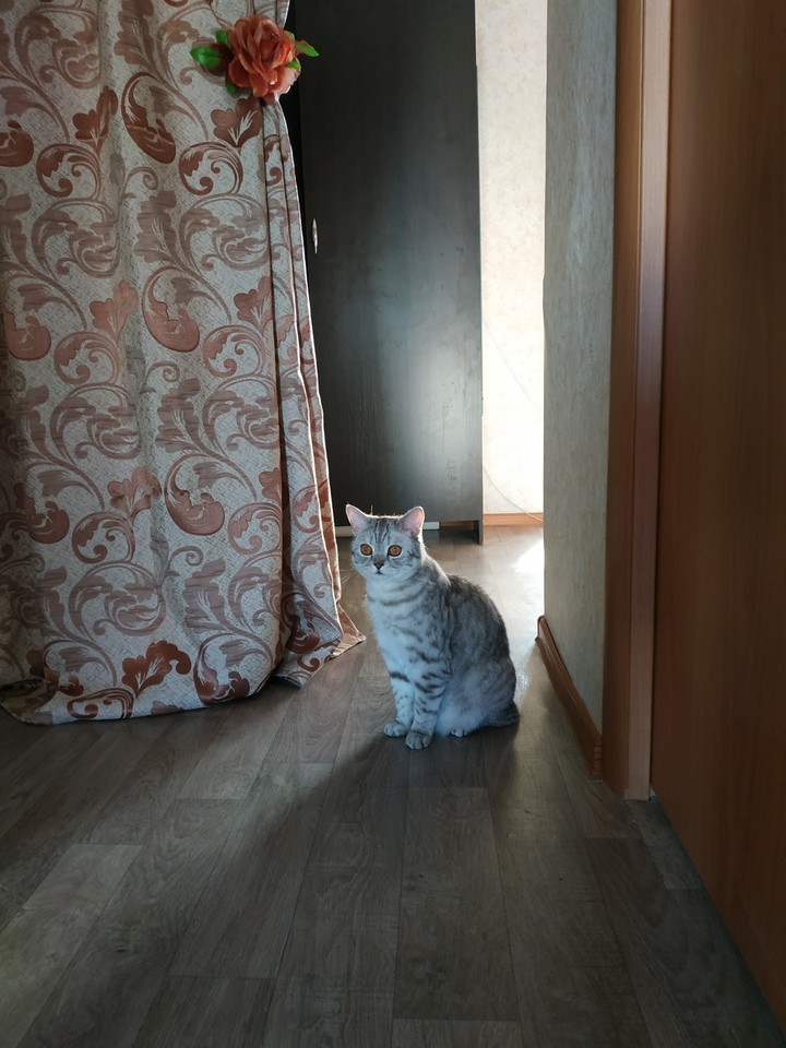 Джемик