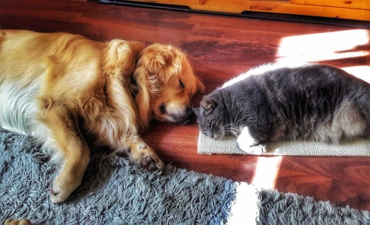 Friends