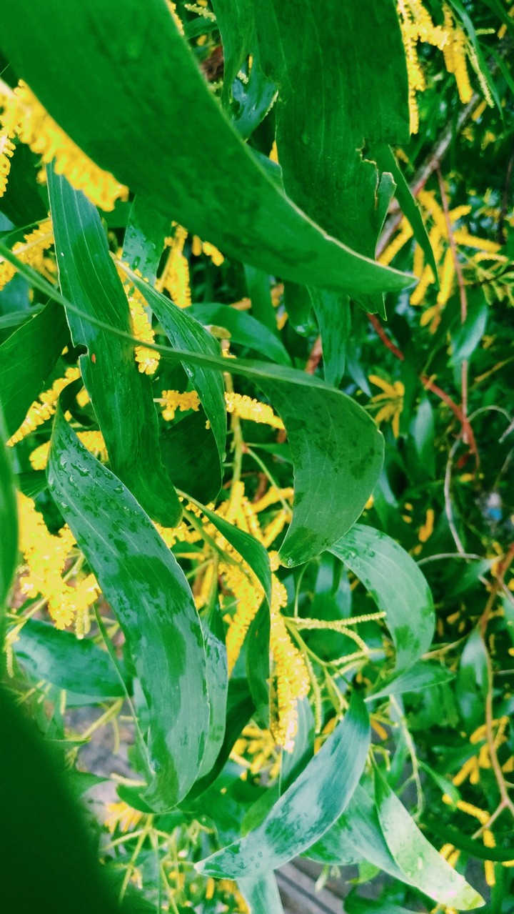 monsoon is so beautiful
