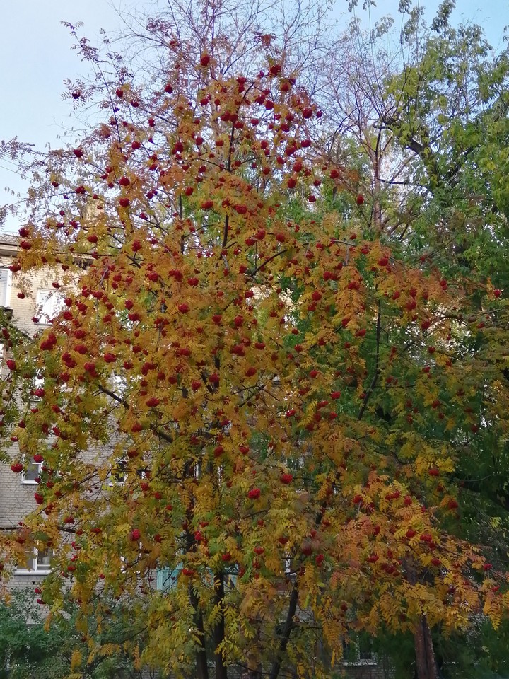 Осень