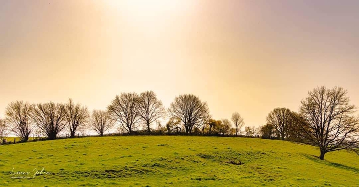 green green grass