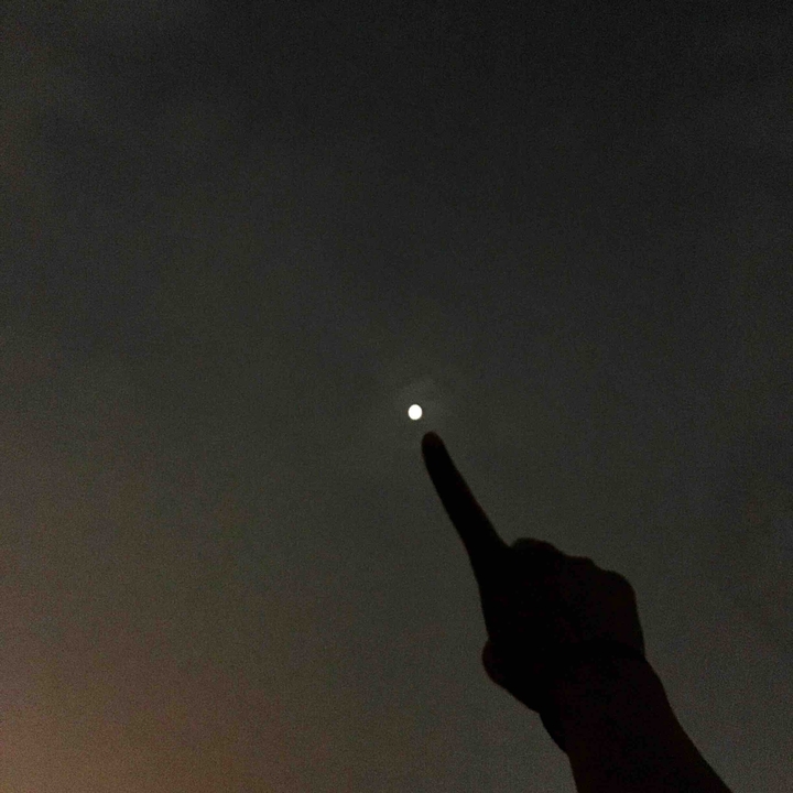 달을 향해