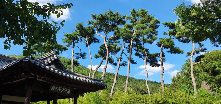 한국