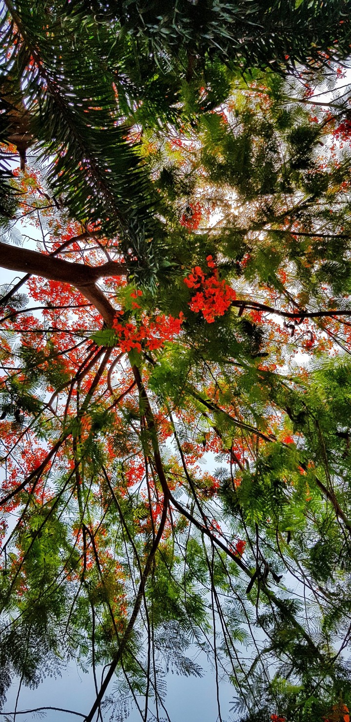 Be colourful like this ?