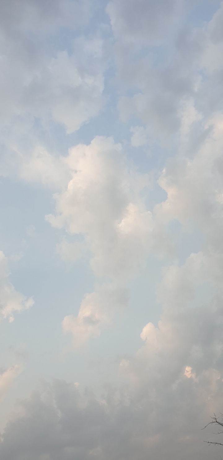 bright sky