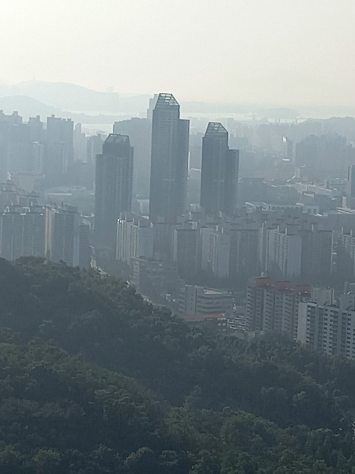 도시의 공원같은 야산
