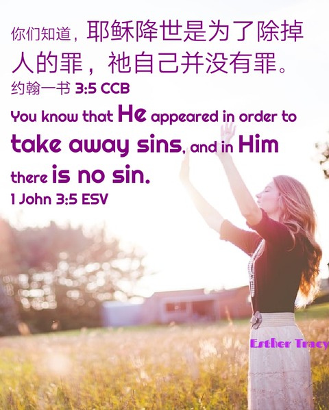 He appeared to take away our sin and Him have no sin