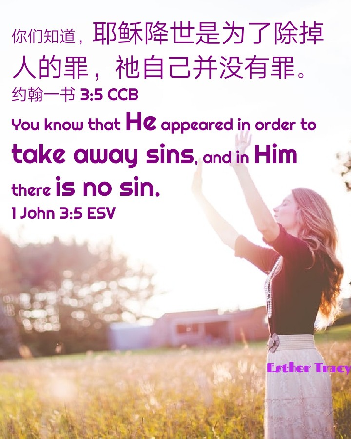 He appeared to take away our sin and Him have no sin
