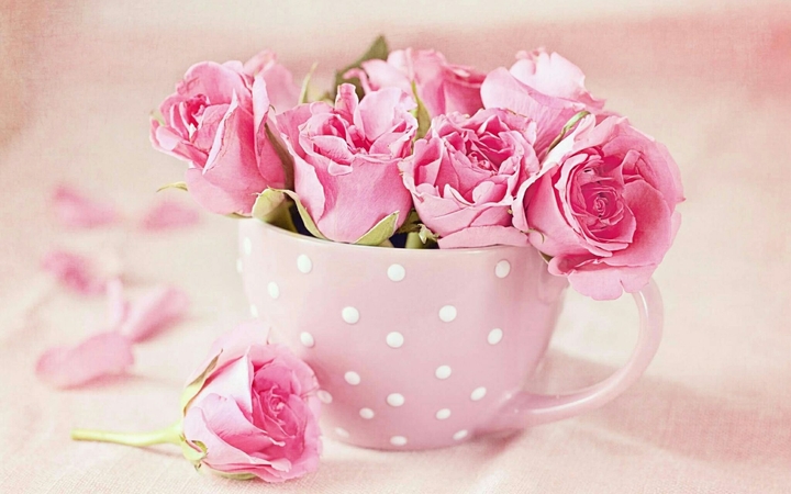 roses❤