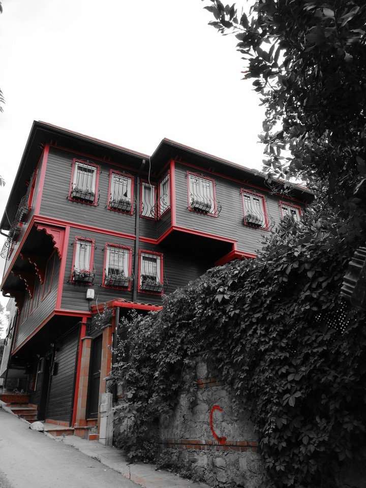Wooden House