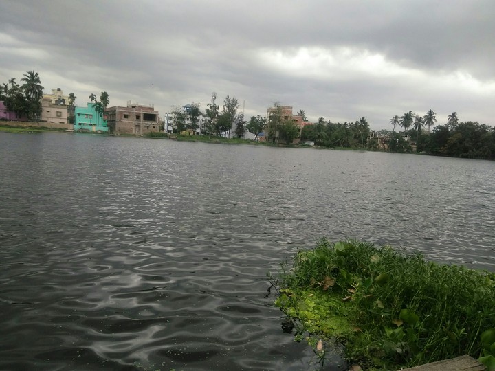 Cloudy nature.