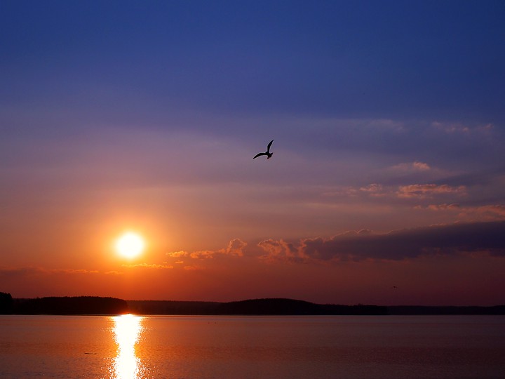 beautiful sunset