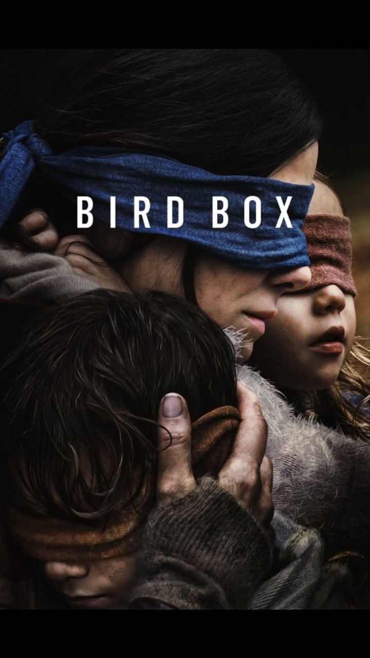 bird box