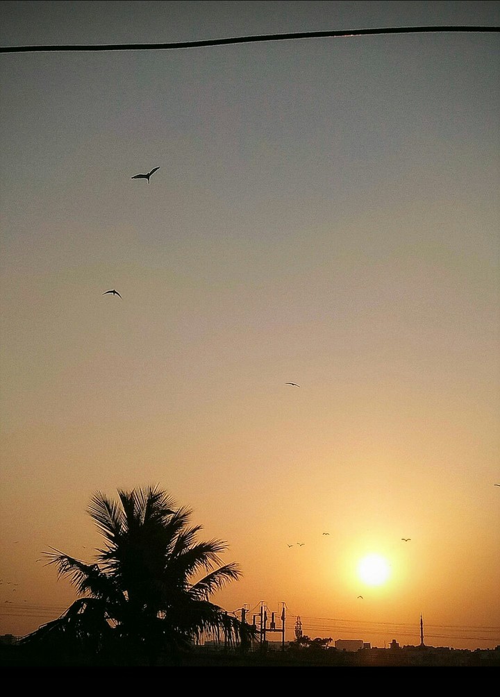 nature