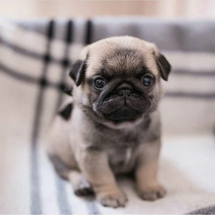 ❤