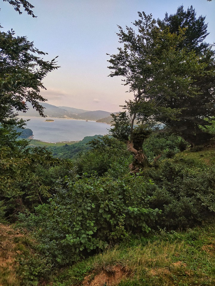 nature