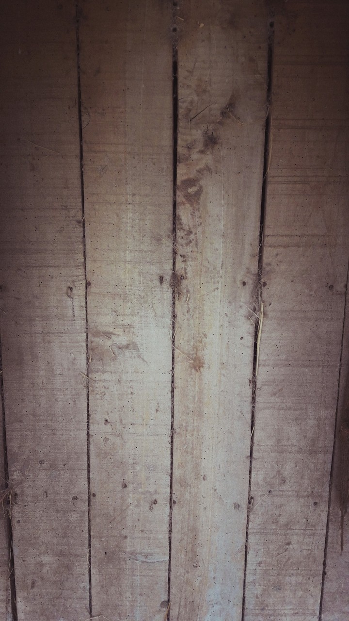 wallpaper