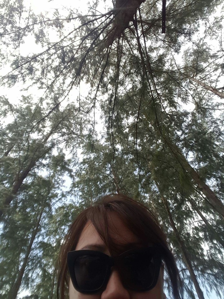 Trees