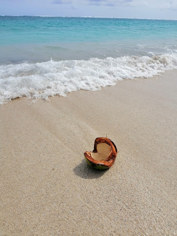 Beach Trip