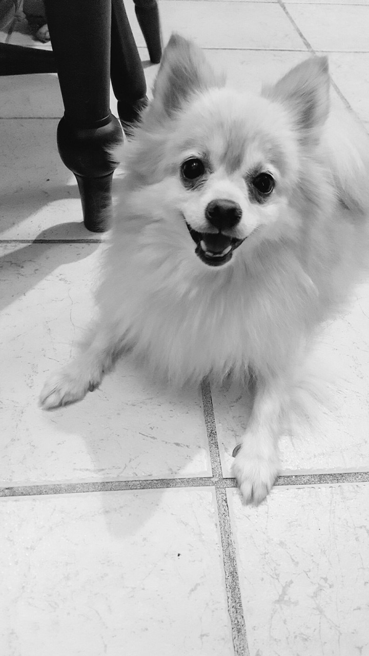 Bella