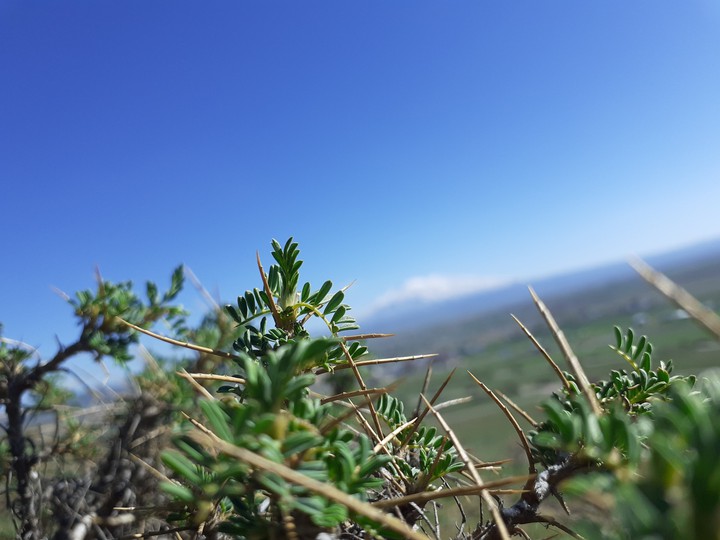 green and blue