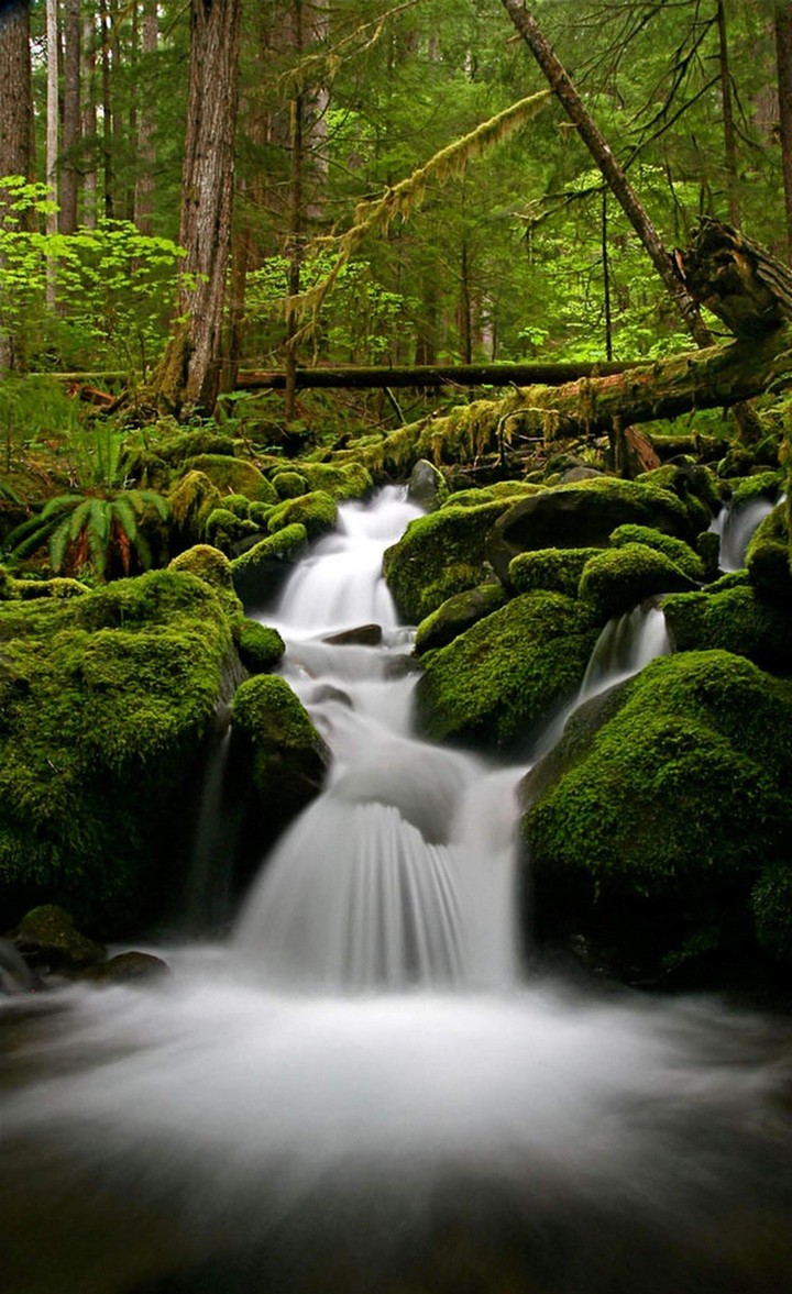 Nature waterfall