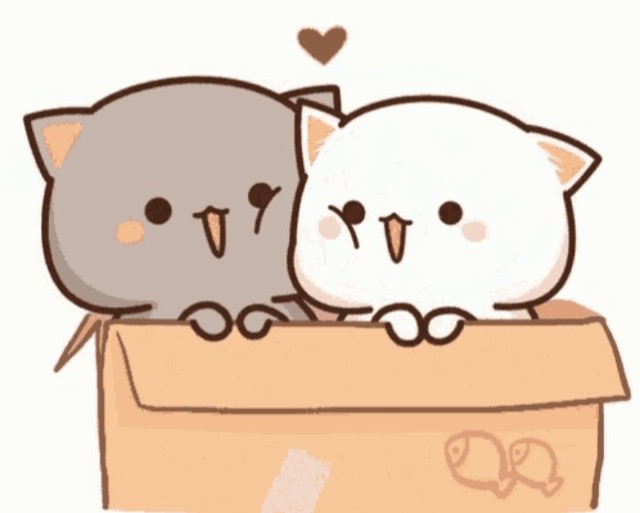 귀여운 냥이